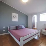 Rent 2 bedroom apartment of 40 m² in Milan