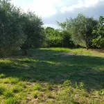 Rent 8 bedroom house of 150 m² in Civita Castellana