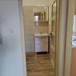 Rent 1 bedroom apartment in Nymburk