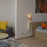 Rent 1 bedroom apartment of 44 m² in Frankfurt