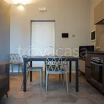 Rent 2 bedroom apartment of 50 m² in Colorno