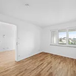 Rent 2 bedroom apartment of 53 m² in Nuremberg