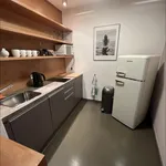 Rent 1 bedroom apartment of 50 m² in Prague