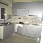 Rent 2 bedroom apartment of 100 m² in Ampelakia Municipal Unit