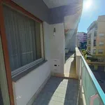 Rent 1 bedroom apartment in Rome