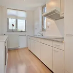 Rent 4 bedroom apartment in Rijpelplein