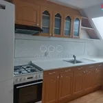 Pronajměte si 1 ložnic/e dům o rozloze 366 m² v Chomutov