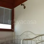 Rent 3 bedroom apartment of 75 m² in Mola di Bari