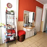 Rent 3 bedroom apartment of 100 m² in Biella