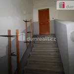 Rent 4 bedroom apartment in Dalovice