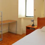 Rent 4 bedroom apartment in Coimbra