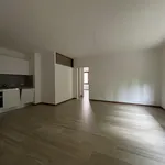 Miete 4 Schlafzimmer wohnung von 85 m² in Cadempino