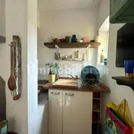 Rent 2 bedroom apartment of 40 m² in Florence