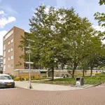 Rent 3 bedroom apartment of 59 m² in Amsterdam