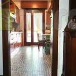 Rent 4 bedroom apartment of 100 m² in Padua