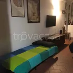 Rent 1 bedroom apartment of 35 m² in Firenze