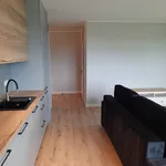 Rent 3 bedroom apartment of 60 m² in Szczecin