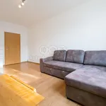 Rent 2 bedroom apartment of 60 m² in Praha