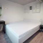 Rent 1 bedroom apartment in Brno