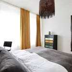 Rent 1 bedroom apartment of 463 m² in Cologne