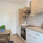 Rent 2 bedroom apartment of 50 m² in Leipzig