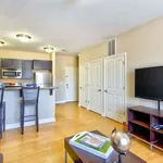 Rent 1 bedroom apartment in South Bend