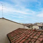 Rent 1 bedroom apartment in Florence