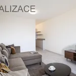 Rent 1 bedroom apartment in Zlín