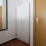 Rent 8 bedroom apartment in Madrid