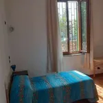 Rent 3 bedroom apartment of 70 m² in Bologna