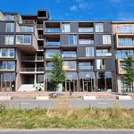 Rent 3 bedroom apartment of 93 m² in Amsterdam