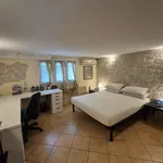 Rent 1 bedroom apartment of 50 m² in Padova