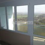 Rent 1 bedroom apartment in Plzeň