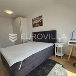 Rent 1 bedroom apartment of 60 m² in Zagreb