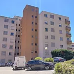 Appartement de 83 m² avec 3 chambre(s) en location à Ajaccio