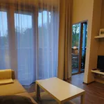 Rent 1 bedroom apartment of 34 m² in Olomouc