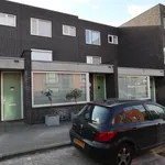 Huur 5 slaapkamer appartement van 160 m² in Eindhoven