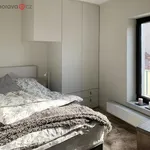 Pronajměte si 2 ložnic/e byt o rozloze 55 m² v Brno