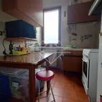 Rent 4 bedroom house of 64 m² in Massa