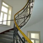 Rent 1 bedroom apartment in Vienna