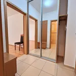 Rent 1 bedroom apartment in Brno