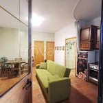 Rent 2 bedroom apartment of 70 m² in Roma