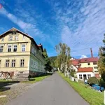 Rent 1 bedroom apartment of 29 m² in Kořenov