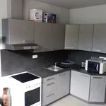 Rent 1 bedroom apartment in Jablonec nad Nisou