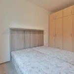 Pronajměte si 3 ložnic/e byt o rozloze 54 m² v Brno