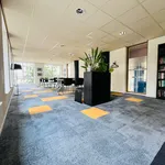 Rent 3 bedroom apartment of 109 m² in Stadsdriehoek