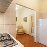 Rent 3 bedroom apartment of 83 m² in Roma