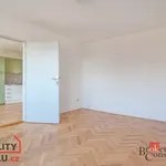 Rent 3 bedroom apartment in České Budějovice