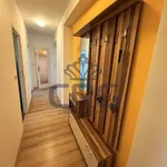 Rent 4 bedroom apartment of 71 m² in Trhový Štěpánov