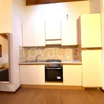 Rent 1 bedroom apartment of 45 m² in Due Carrare